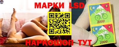 скорость Будённовск