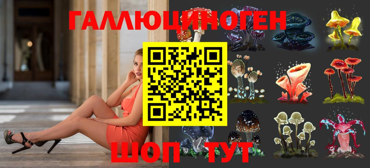 Псилоцибиновые грибы Psilocybe Сатка