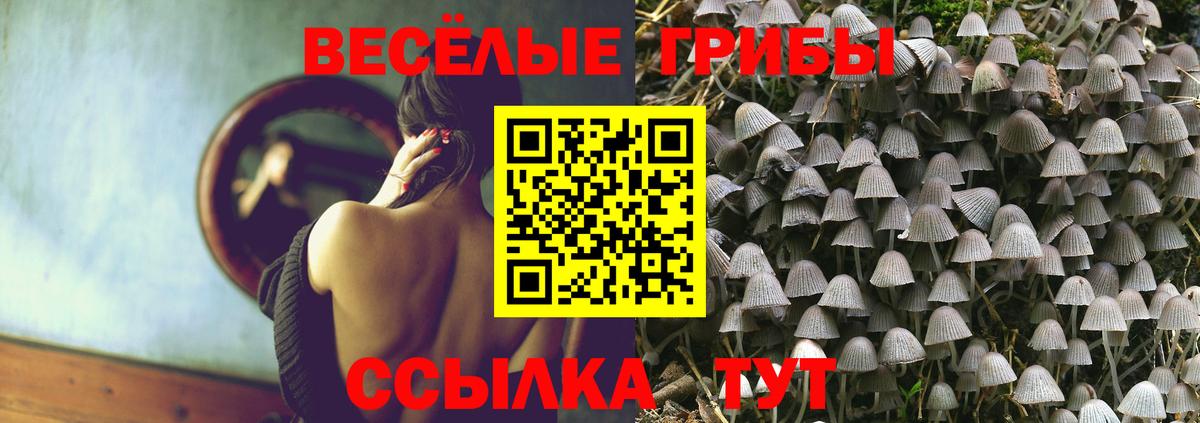 Сатка  Псилоцибиновые грибы Cubensis  Вход с VPN 